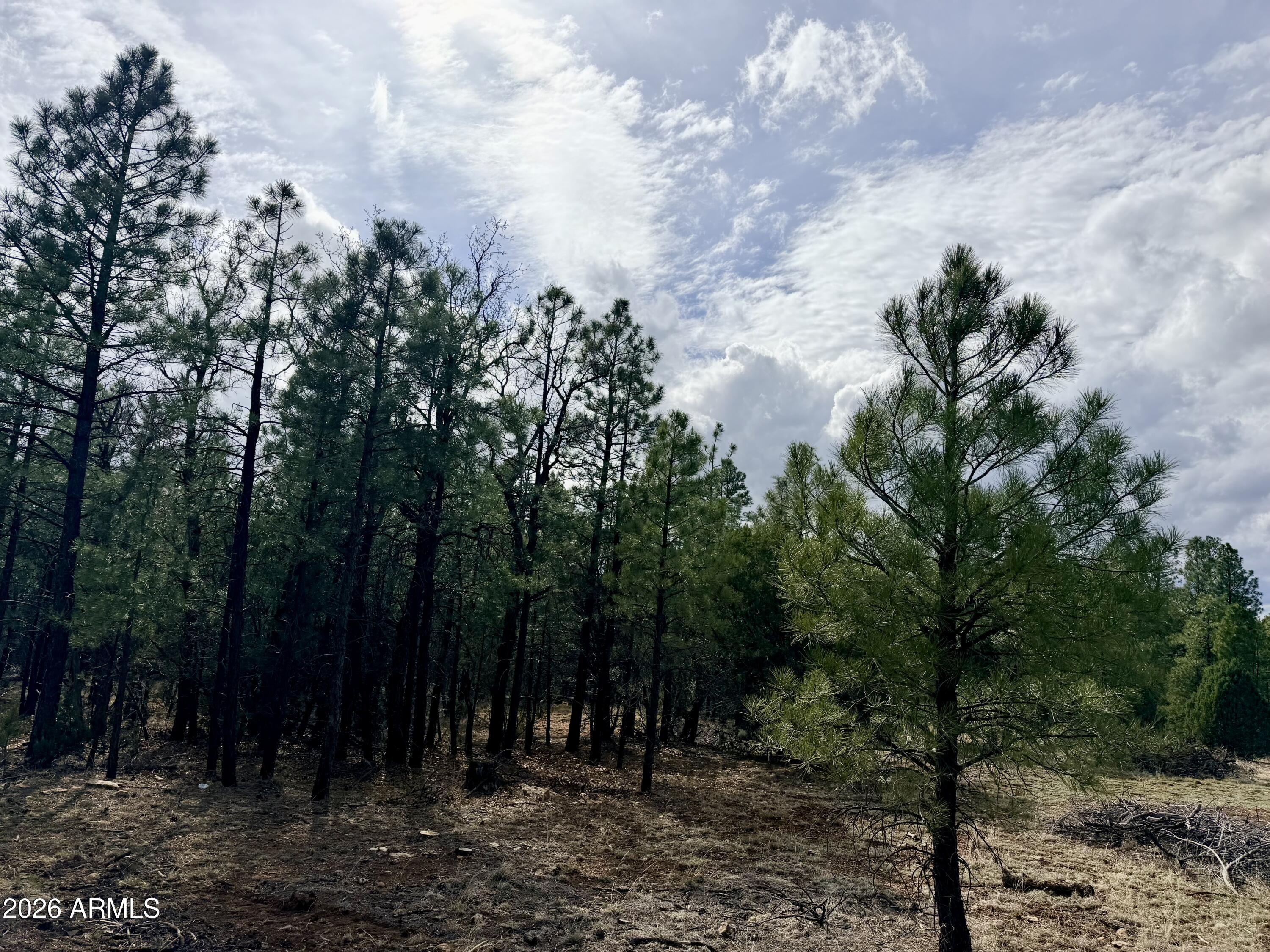 2588 Spoonbill Drive 7