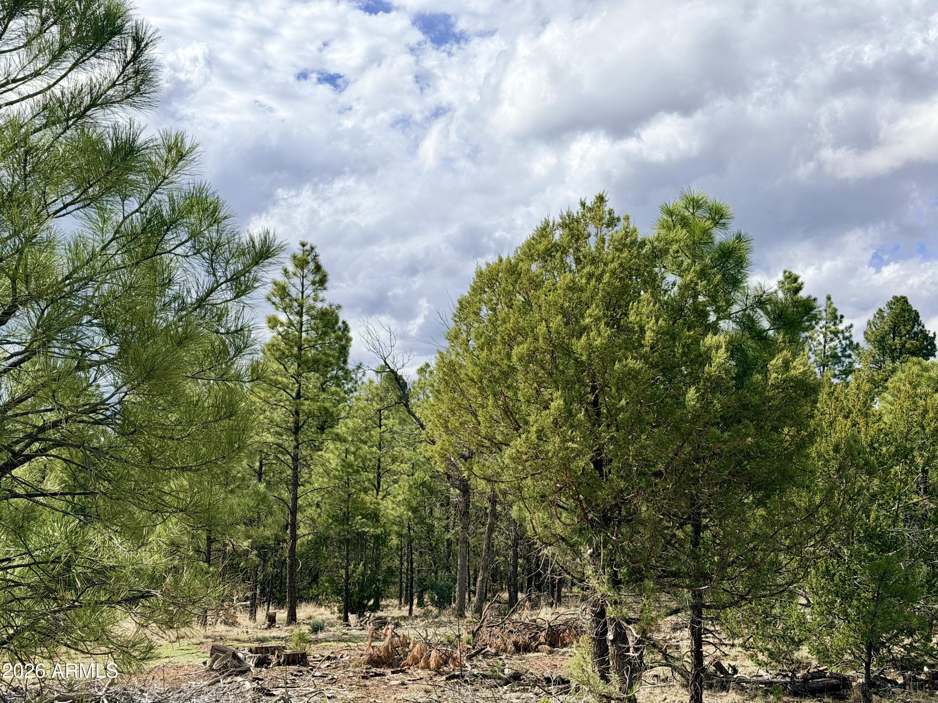 2588 Spoonbill Drive 7