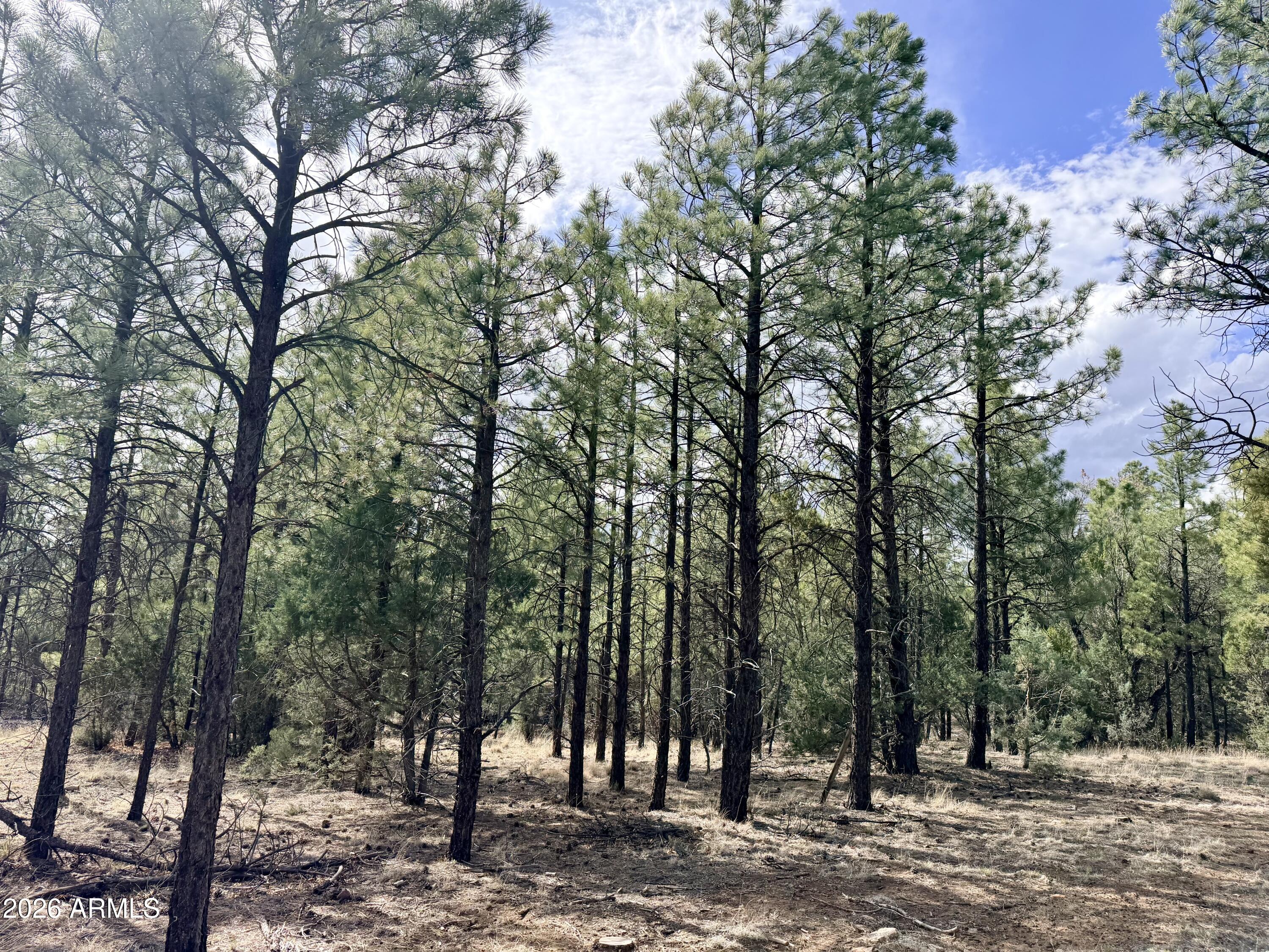 2588 Spoonbill Drive 7