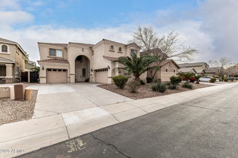 40729 W NOVAK Lane Maricopa AZ 85138
