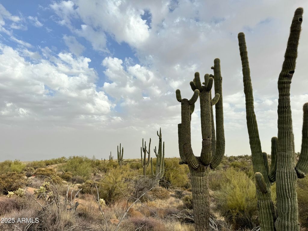 Photo of 139 E Montello Road #-, Scottsdale, AZ 85262 (MLS # 6829051)