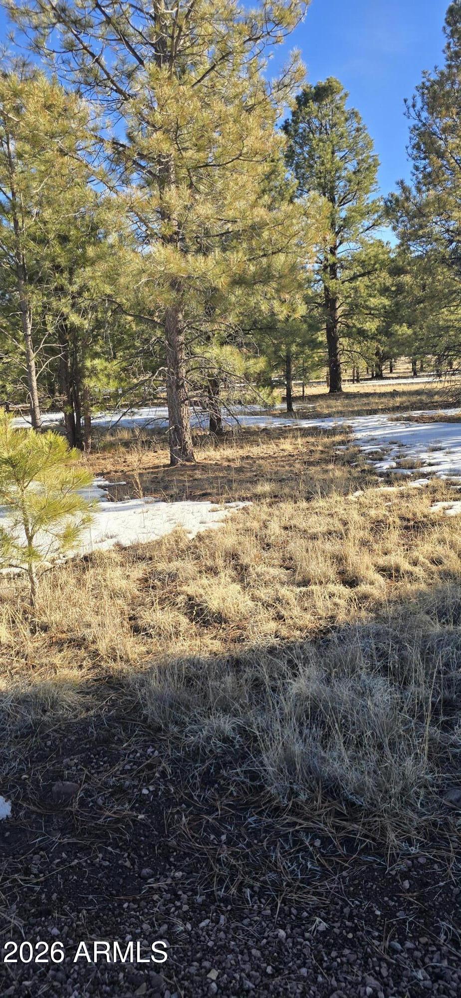 Hidden Meadow Ranch - Land