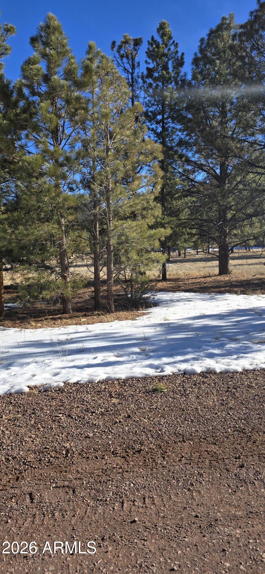 Hidden Meadow Ranch - Land