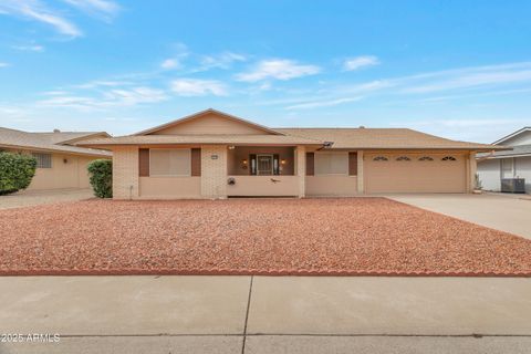10733 W SARATOGA Circle Sun City AZ 85351