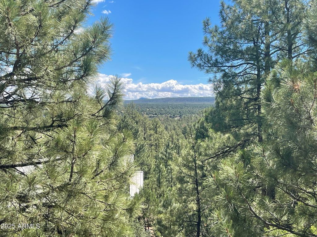 Photo of 861 E Pine Oaks Drive, Show Low, AZ 85901 (MLS # 6937861)