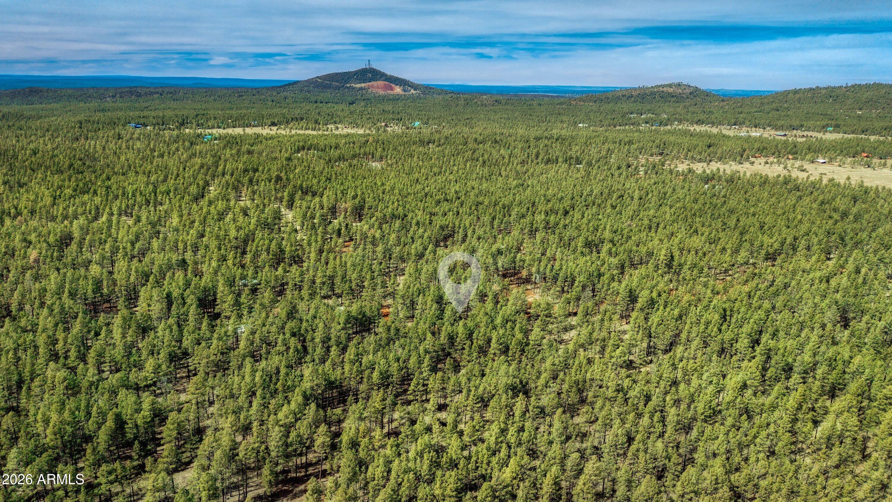 4.74 Acres Birdsong Way -