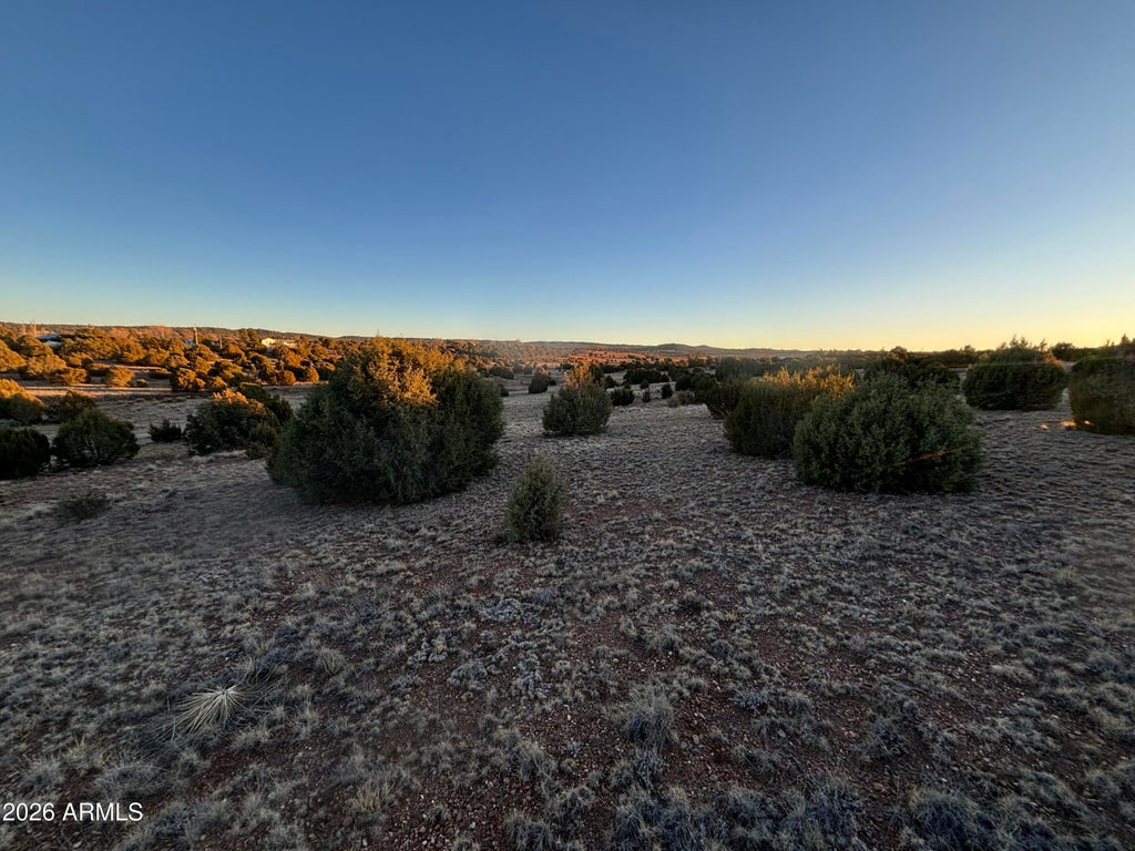 Photo of 4967 Hollyhock Street #NA, Clay Springs, AZ 85923 (MLS # 7056442)