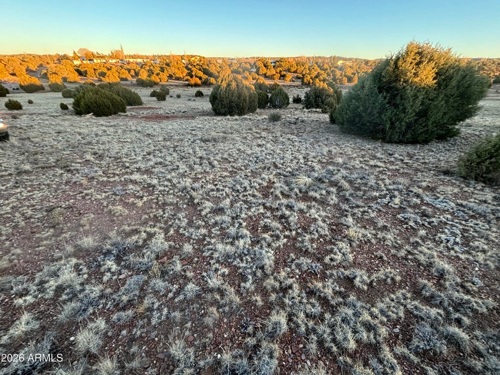 Photo of 4967 Hollyhock Street #NA, Clay Springs, AZ 85923 (MLS # 7056442)