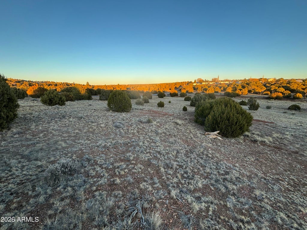 Photo of 4967 Hollyhock Street #NA, Clay Springs, AZ 85923 (MLS # 7056442)