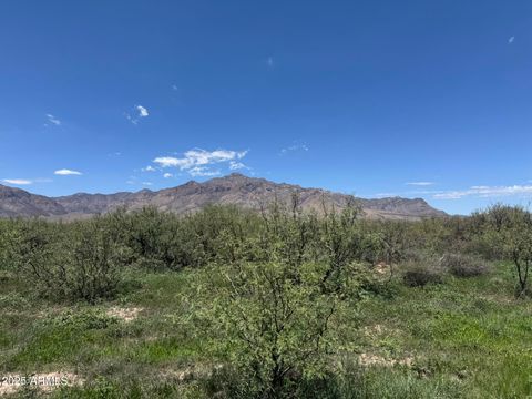 39.6 Acres W Paulo Rose Drive 2 Portal AZ 85632