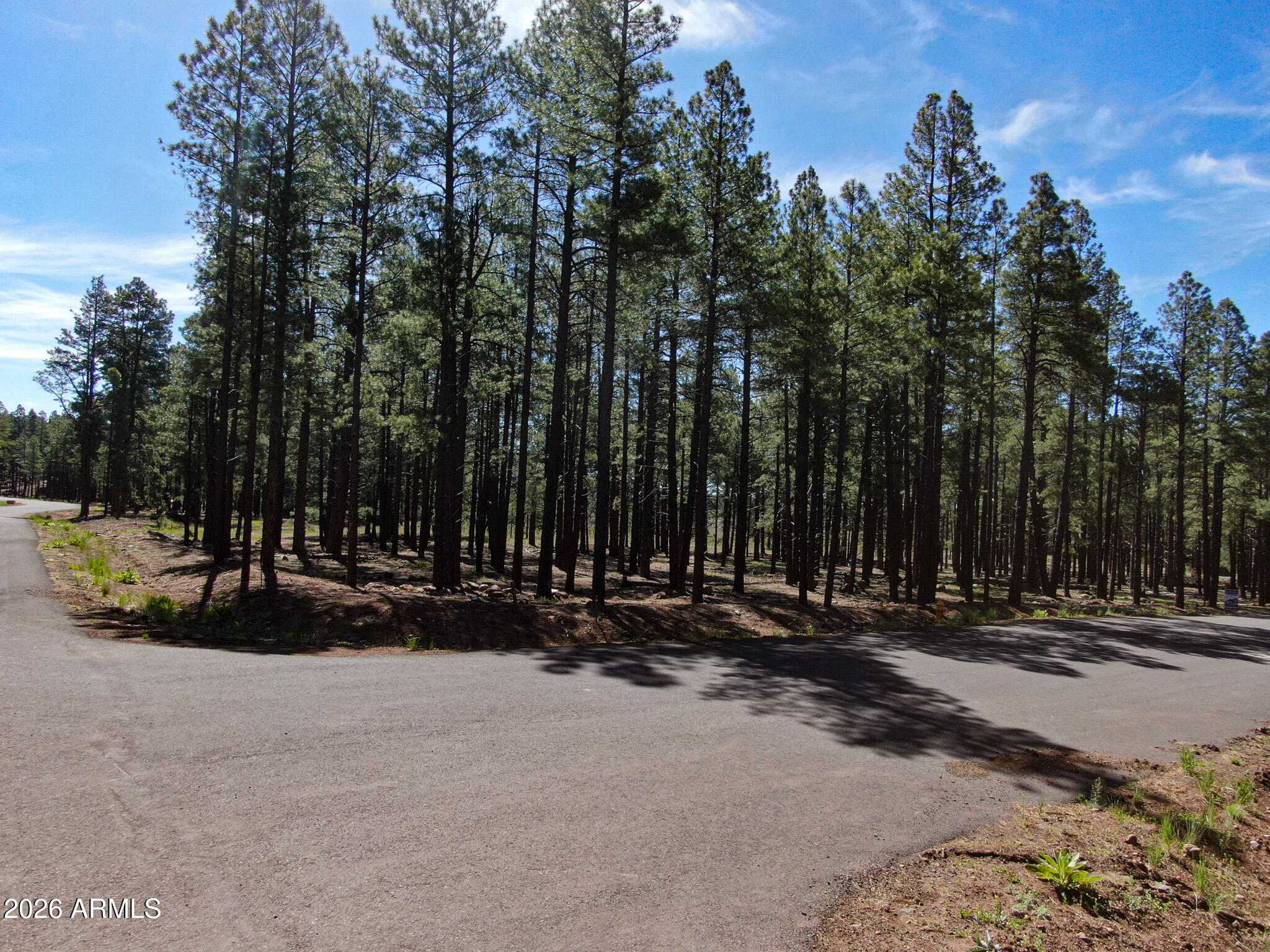 9615 RANCH AT THE PEAKS Way 59