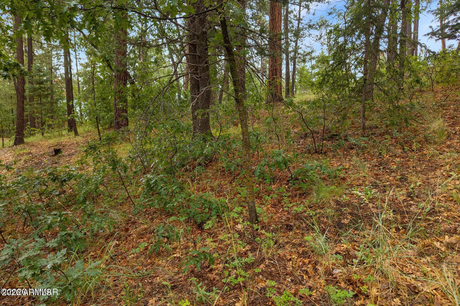 8 COUNTY ROAD 2070 -- 137
