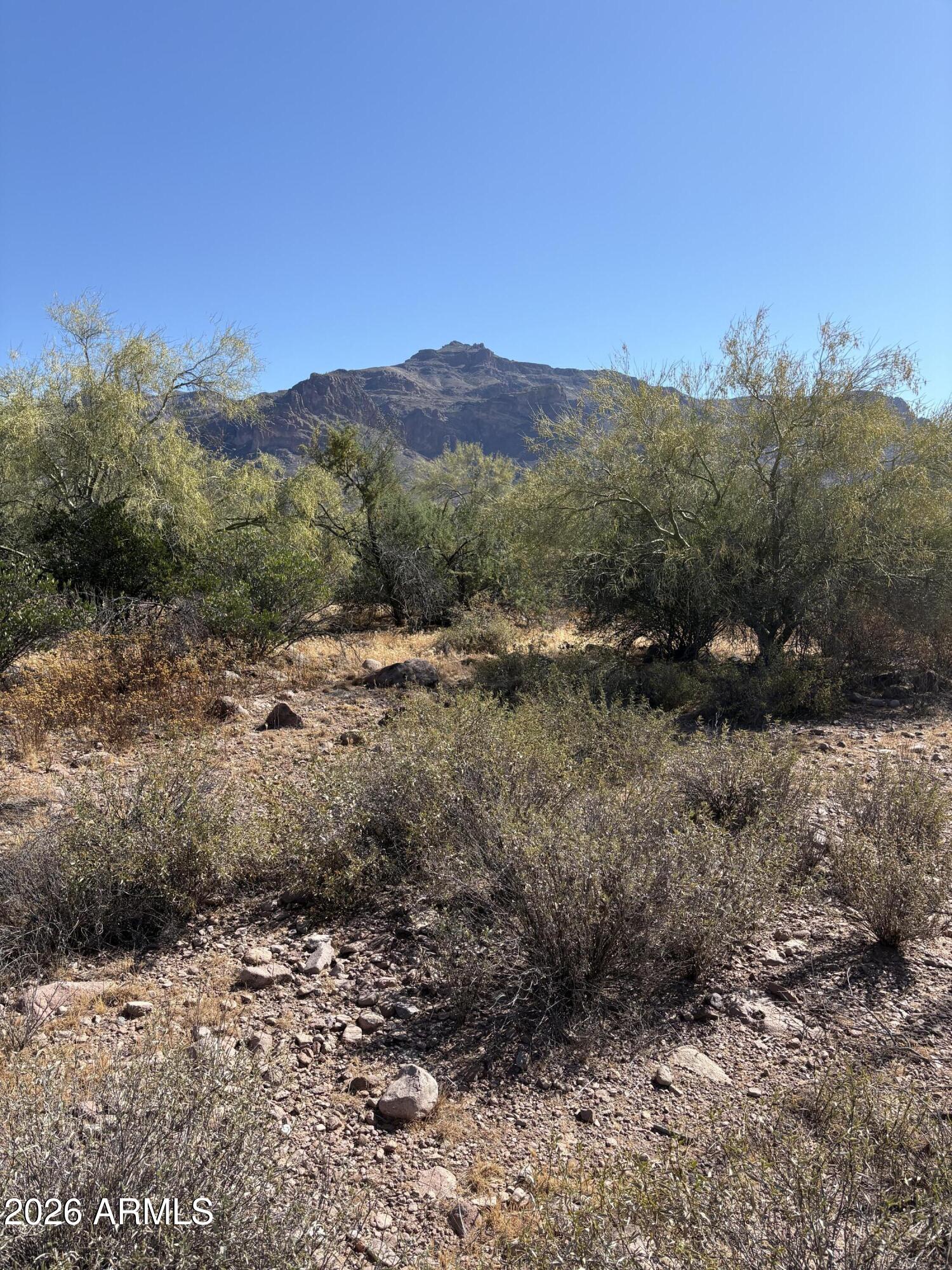 10890 E CACTUS VIEW Circle 9