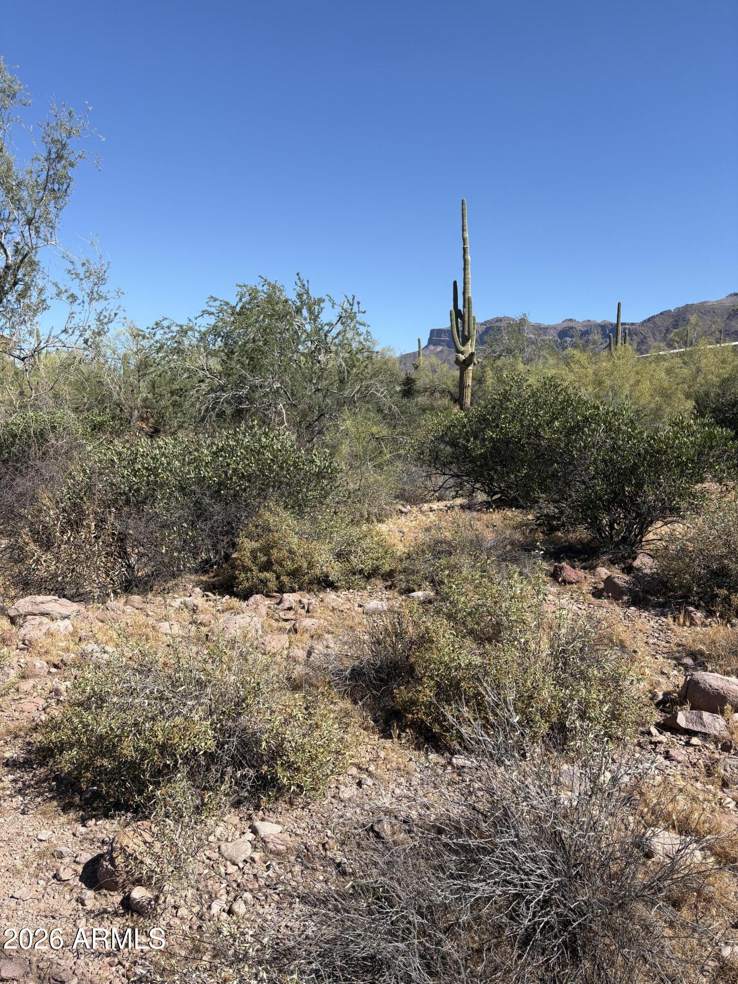 10890 E CACTUS VIEW Circle 9