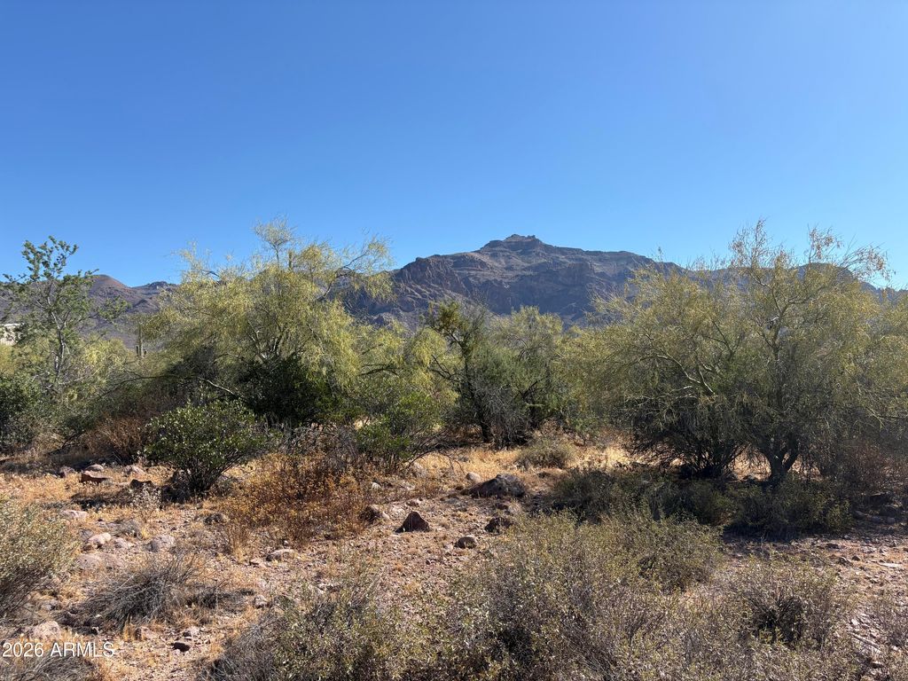 Photo of 10890 E Cactus View Circle #9, Gold Canyon, AZ 85118 (MLS # 7029125)