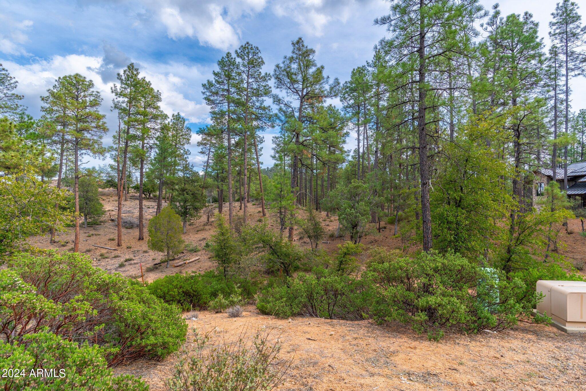 3109 E Game Trail -- 250