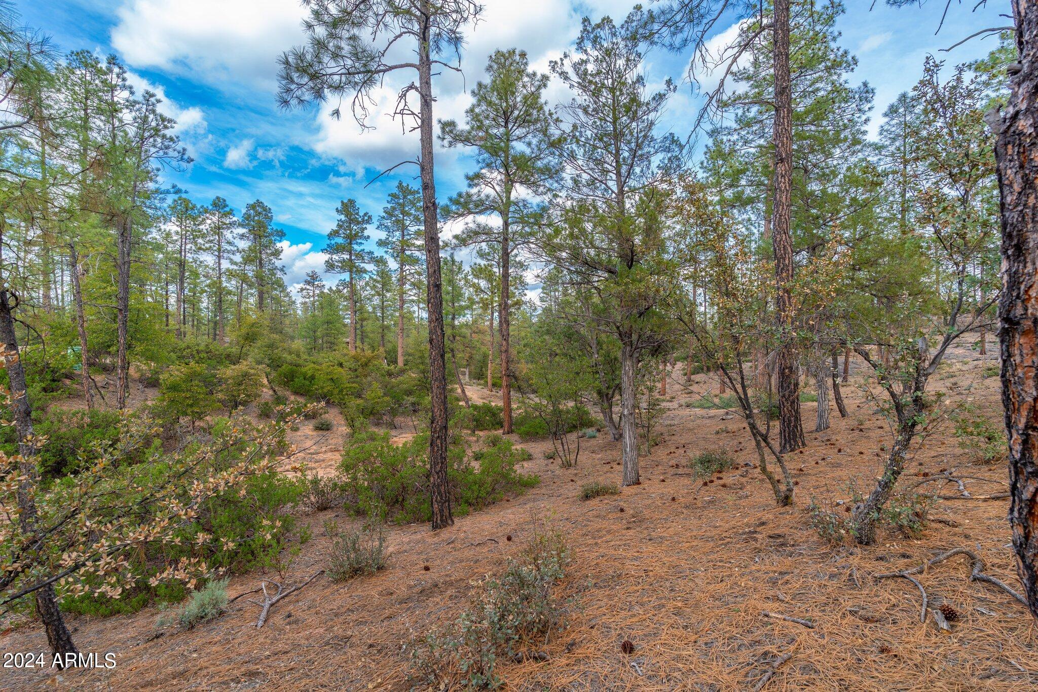 3109 E Game Trail -- 250