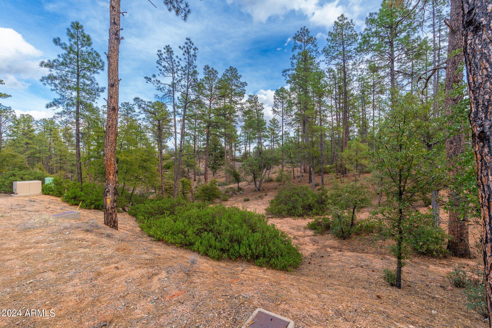 3109 E Game Trail -- 250