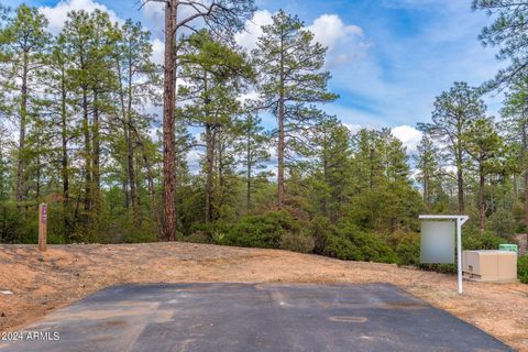 3109 E Game Trail -- 250 Payson AZ 85541