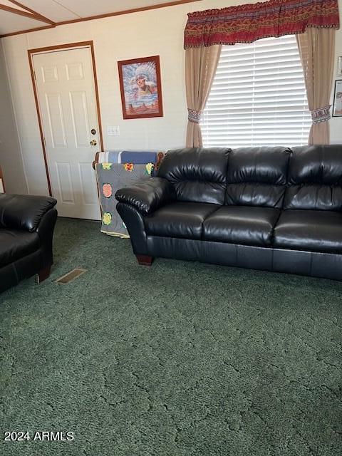 Hodgins Acres - Residential