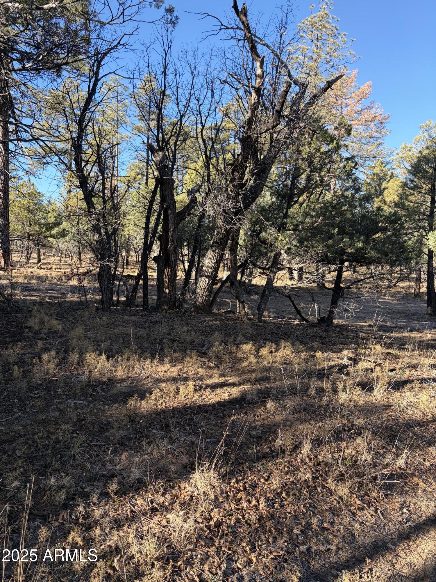 350 N VERBENA Lane 81