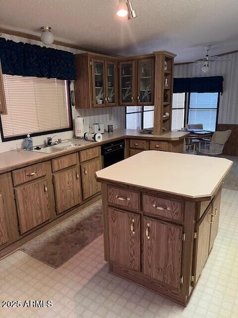 725 W SMOKETREE Road