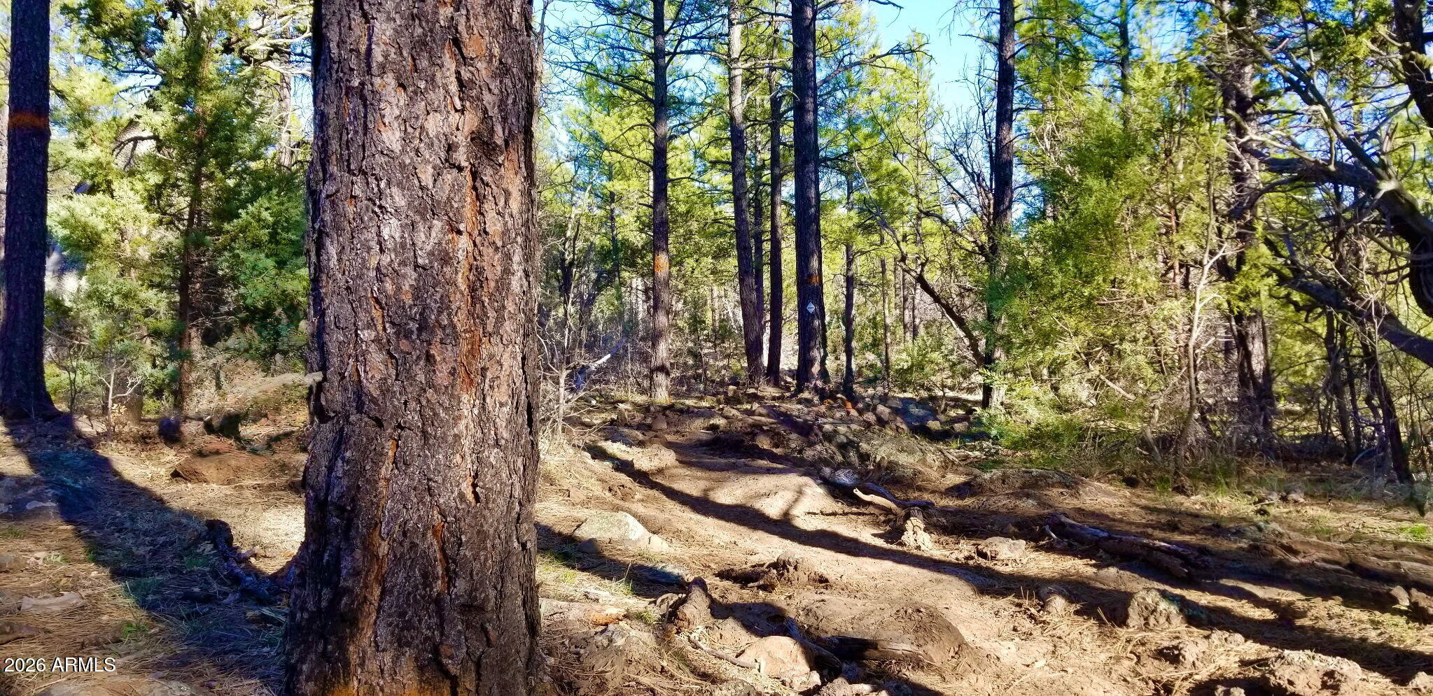 2259 E T BEAR Trail '-'