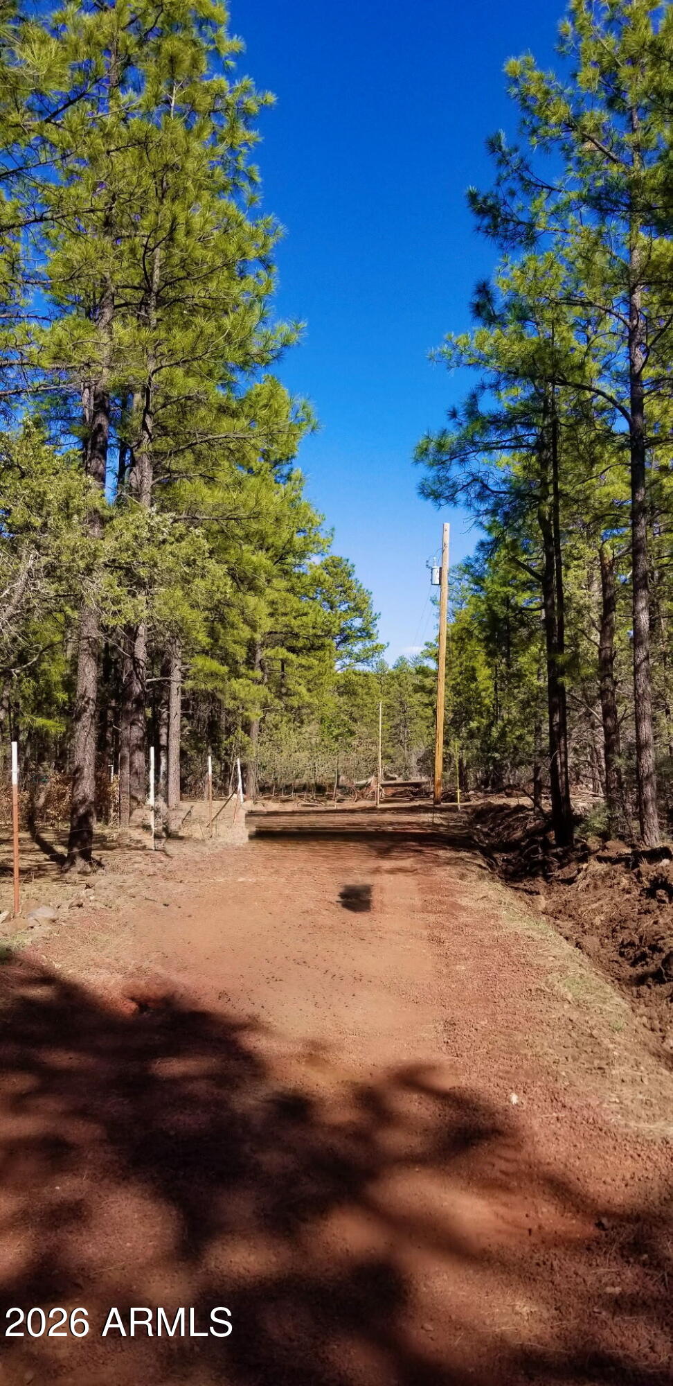 2259 E T BEAR Trail '-'