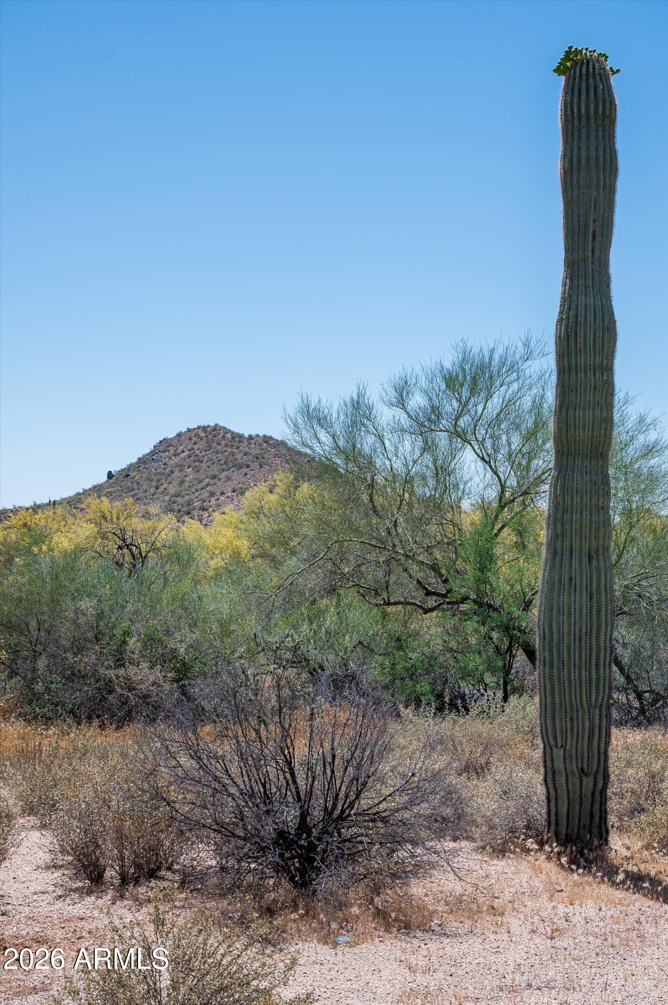WHISPER ROCK UNIT 4 - Land