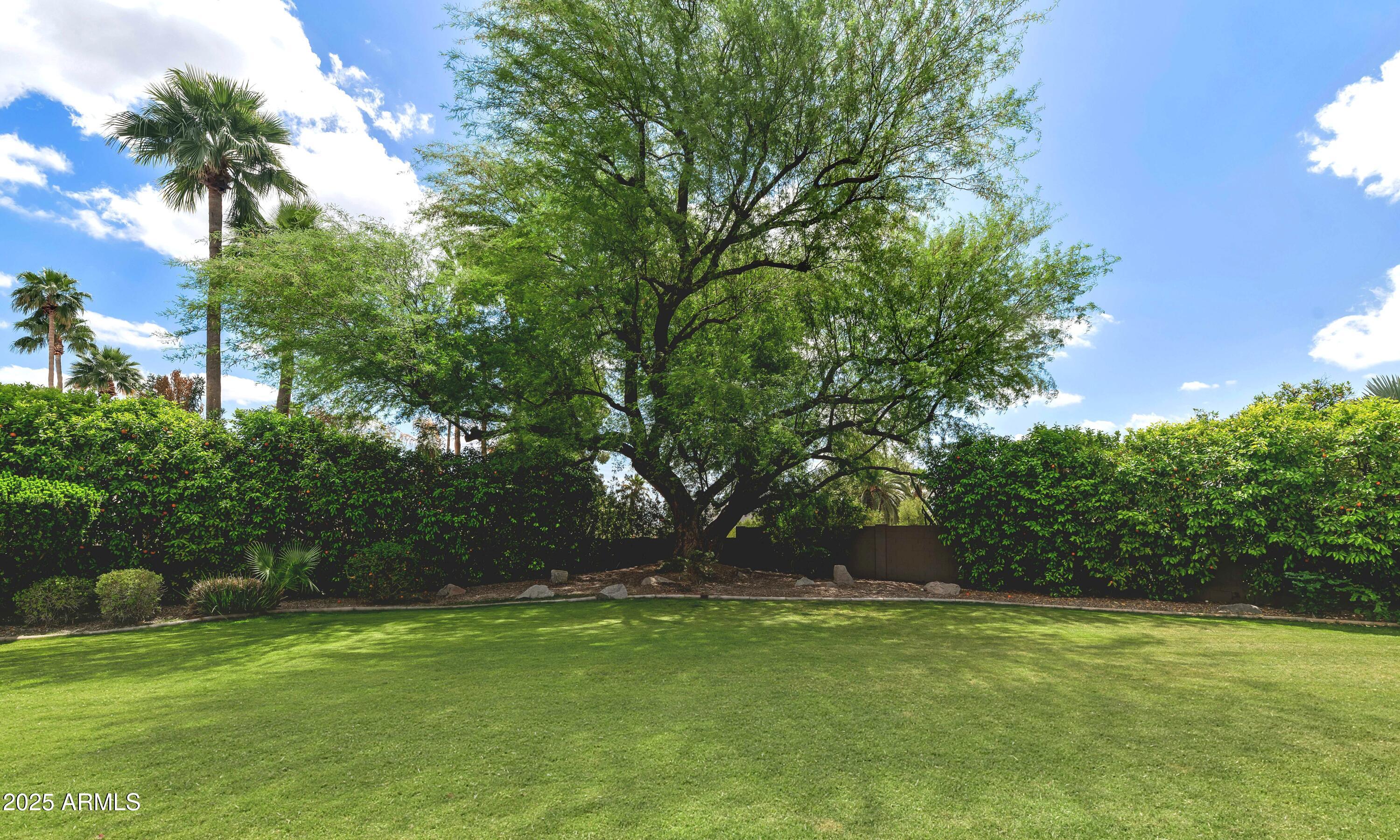 MOUNTAIN VIEW ESTATES REPLAT - Residential