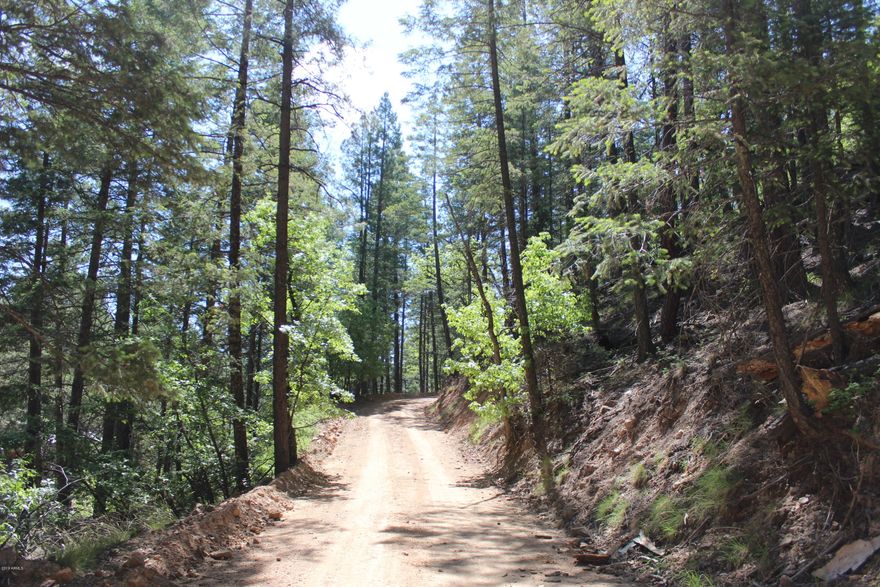 **WELCOME TO THE COOL PINES LESS THAN 2-HOURS FROM THE VALLEY** A GREAT PLACE TO BUILD A CABIN IN THE BRADSHAW MOUNTAINS! THIS IS A HEAVILY TREED HILLSIDE LOT THAT SITS AT ROUGHLY 6,500' ELEVATION WITH MAINTAINED ROADS LEADING UP TO THE PROPERTY PLUS THE ROADS ARE PLOWED FOR SNOW AS WELL IN WINTER. LOCATION IS LESS THAN 10-MILES FROM HIGHWAY 69, COSTCO PLUS MANY STORES & RESTAURANTS. YOU'LL ALSO PASS BY LYNX LAKE ON THE WAY SOUTH DOWN WALKER ROAD. WALKER HAS ITS OWN VOLUNTEER FIRE DEPARTMENT AS WELL W/MANY COMMUNITY EVENTS. DOWNTOWN PRESCOTT ISN'T FAR AND YOU'LL EXPERIENCE SLIGHTLY LOWER TEMPS + MORE SNOW HERE DUE TO THE ELEVATION GAIN. CABINS/HOMES IN THE AREA CAN RUN UP WELL OVER $1,000,000! LAND ENGINEERING REQUIRED TO CREATE A BUILDING PAD. PARKING AN RV IS NOT ALLOWED-SITE BUILT ONLY.