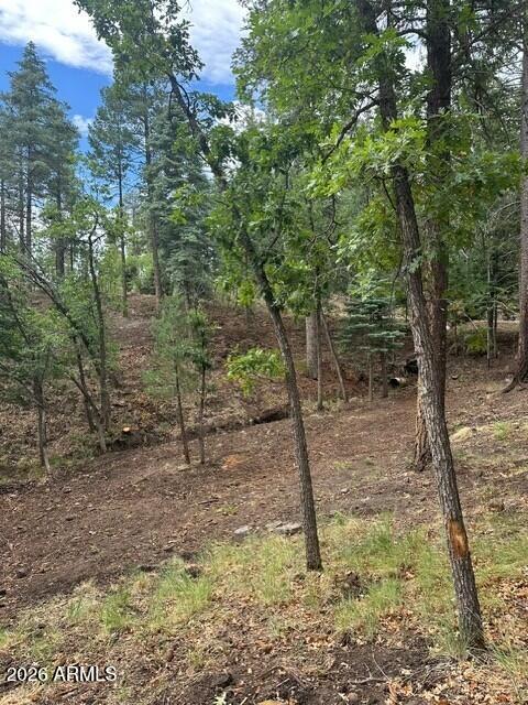 15 N BUTTERMILK Lane 52