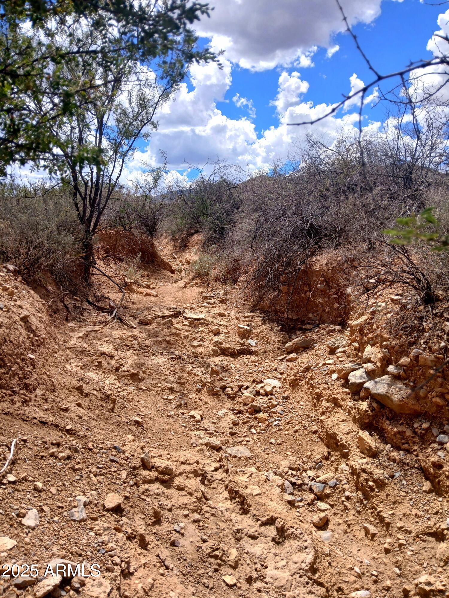 TBD W Dragoon Road -