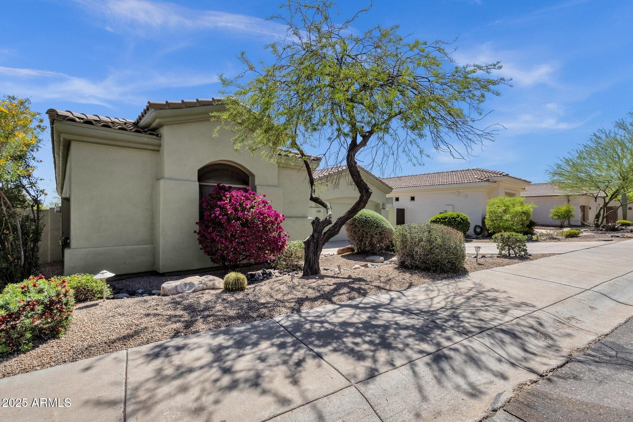 14237 N Desert Flower Drive