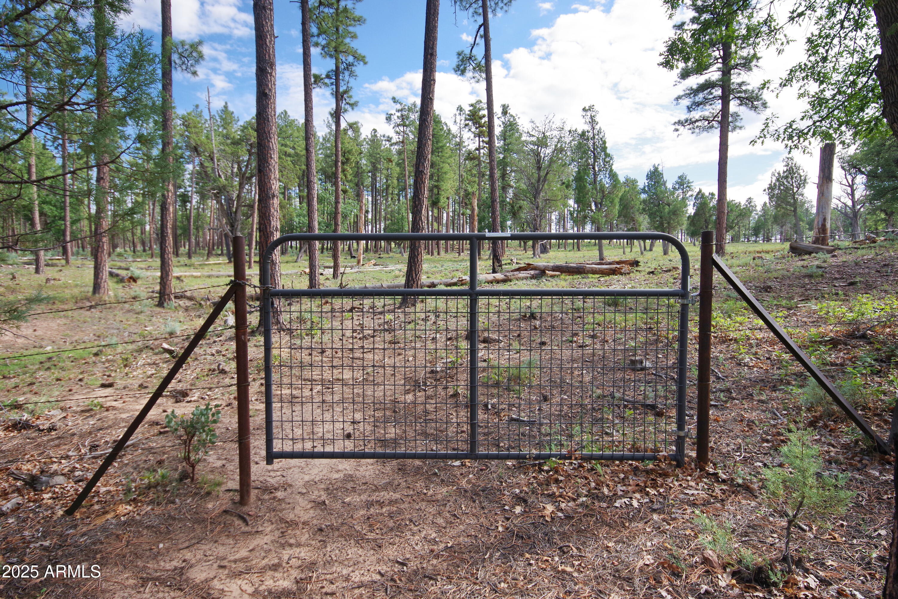 Payson, Arizona 85541, United States, 2 Bedrooms Bedrooms, ,1 BathroomBathrooms,Residential,Active,206029