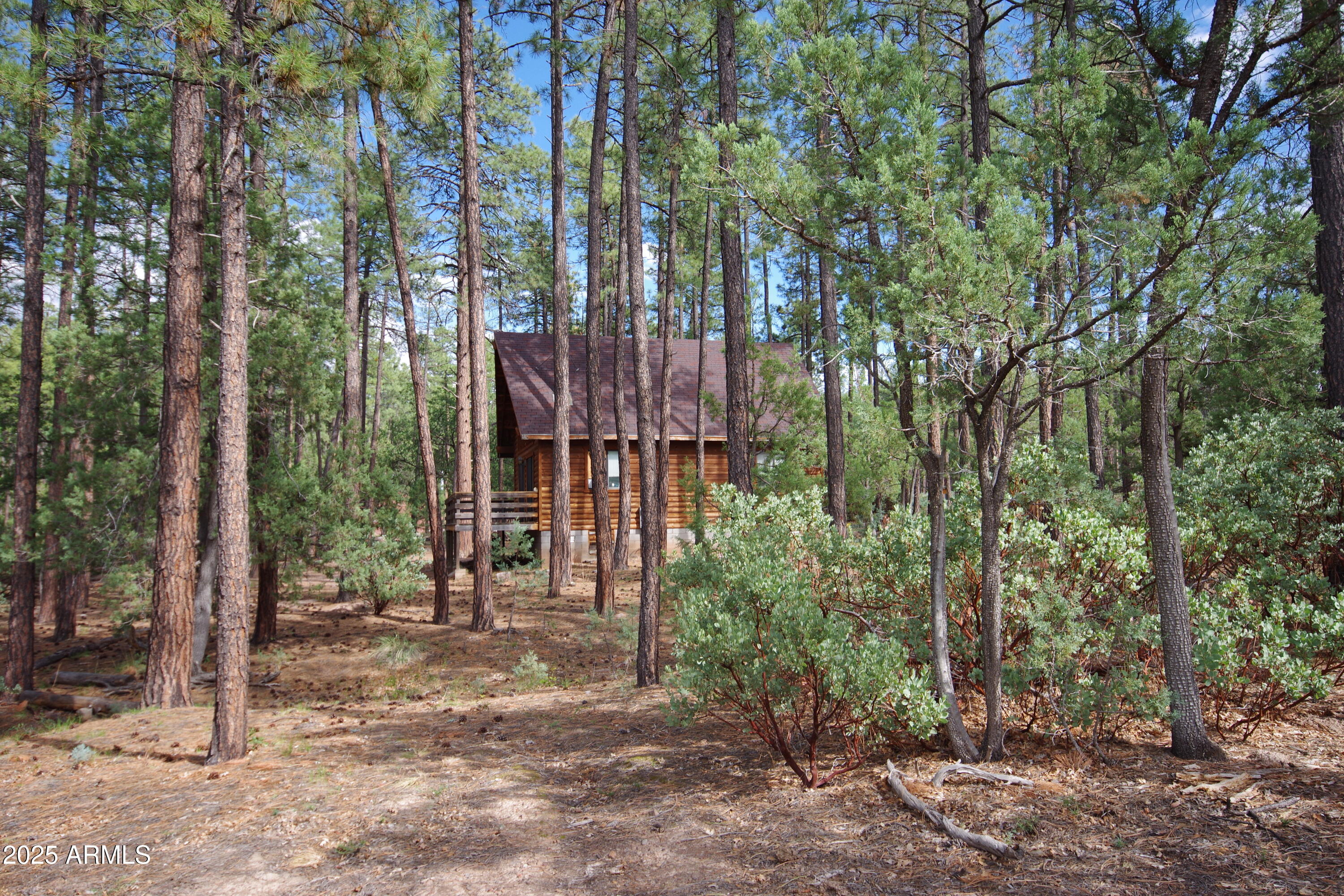 Payson, Arizona 85541, United States, 2 Bedrooms Bedrooms, ,1 BathroomBathrooms,Residential,Active,206029