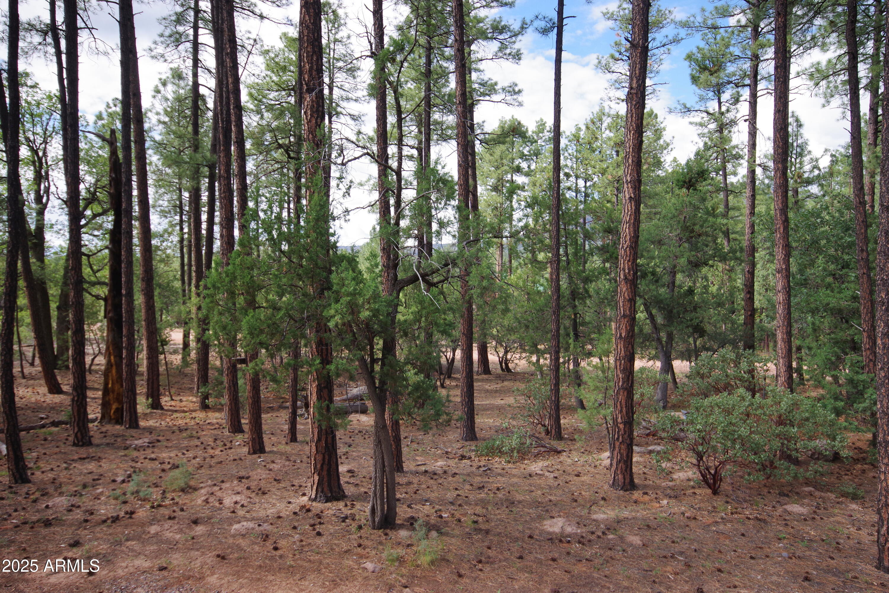 Payson, Arizona 85541, United States, 2 Bedrooms Bedrooms, ,1 BathroomBathrooms,Residential,Active,206029