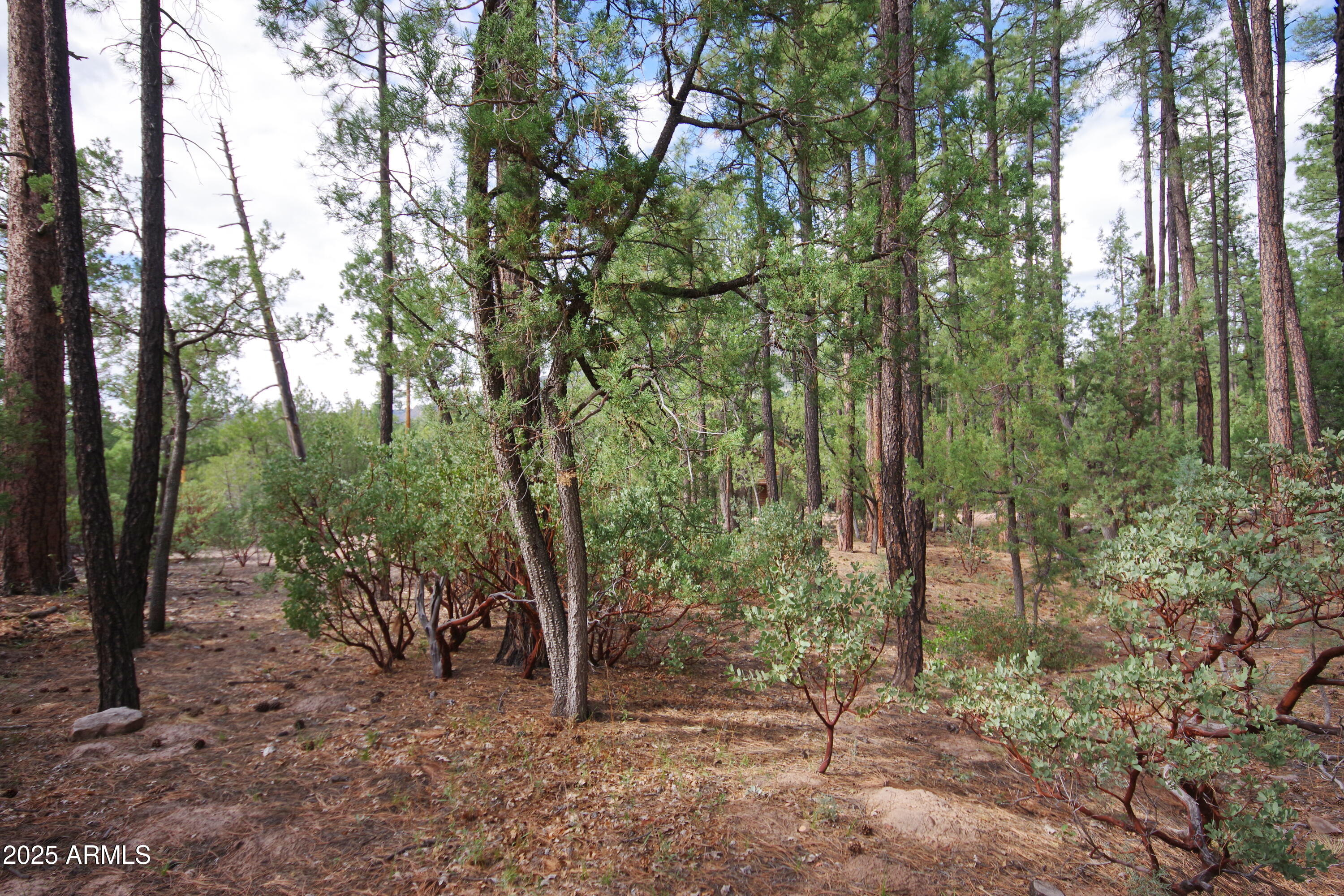 Payson, Arizona 85541, United States, 2 Bedrooms Bedrooms, ,1 BathroomBathrooms,Residential,Active,206029