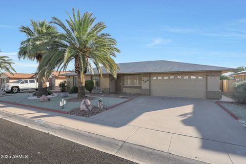 10313 W DESERT ROCK Drive Sun City AZ 85351