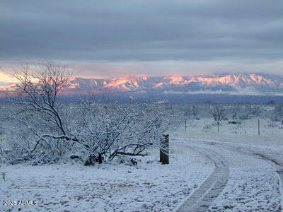 DRAGOON MOUNTAIN RANCH 1 - Land