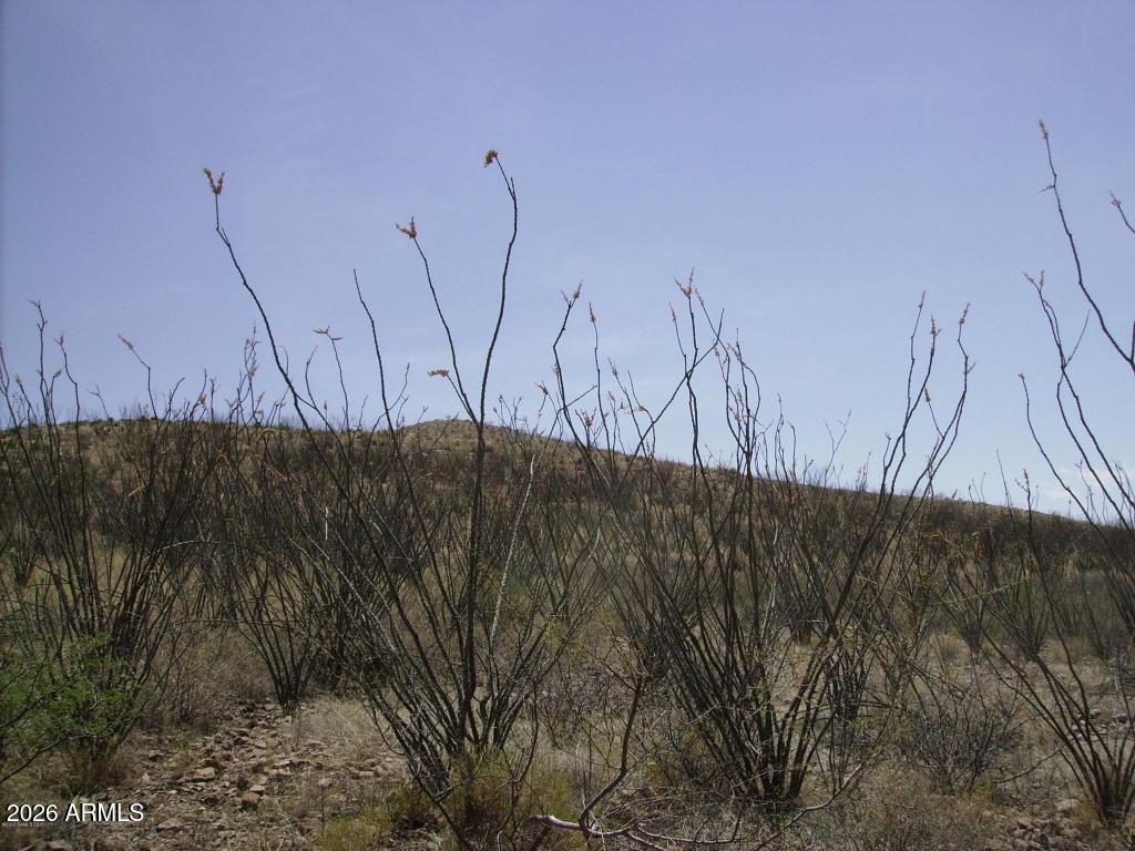 405-77-109 N Wilderness Trail 109