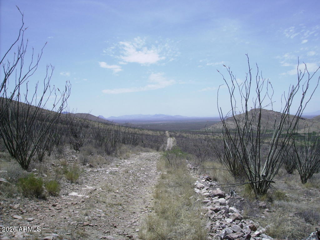 PERILLA MOUNTAIN RANCH UNIT 5 - Land