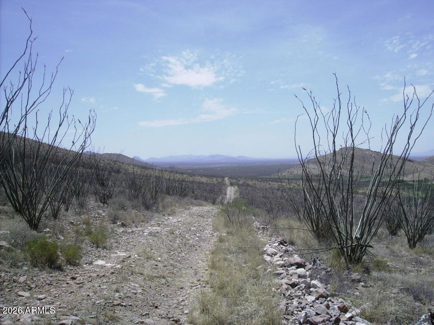 Not far from Civilization, but when you are out there it sure feels like it.  Two adjacent 36 acre parcels available side by side. Ok to make offer on both. Raw land.