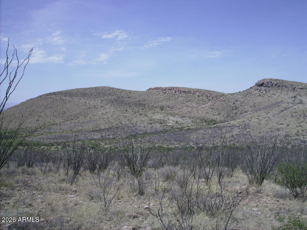 405-77-109 N Wilderness Trail 109