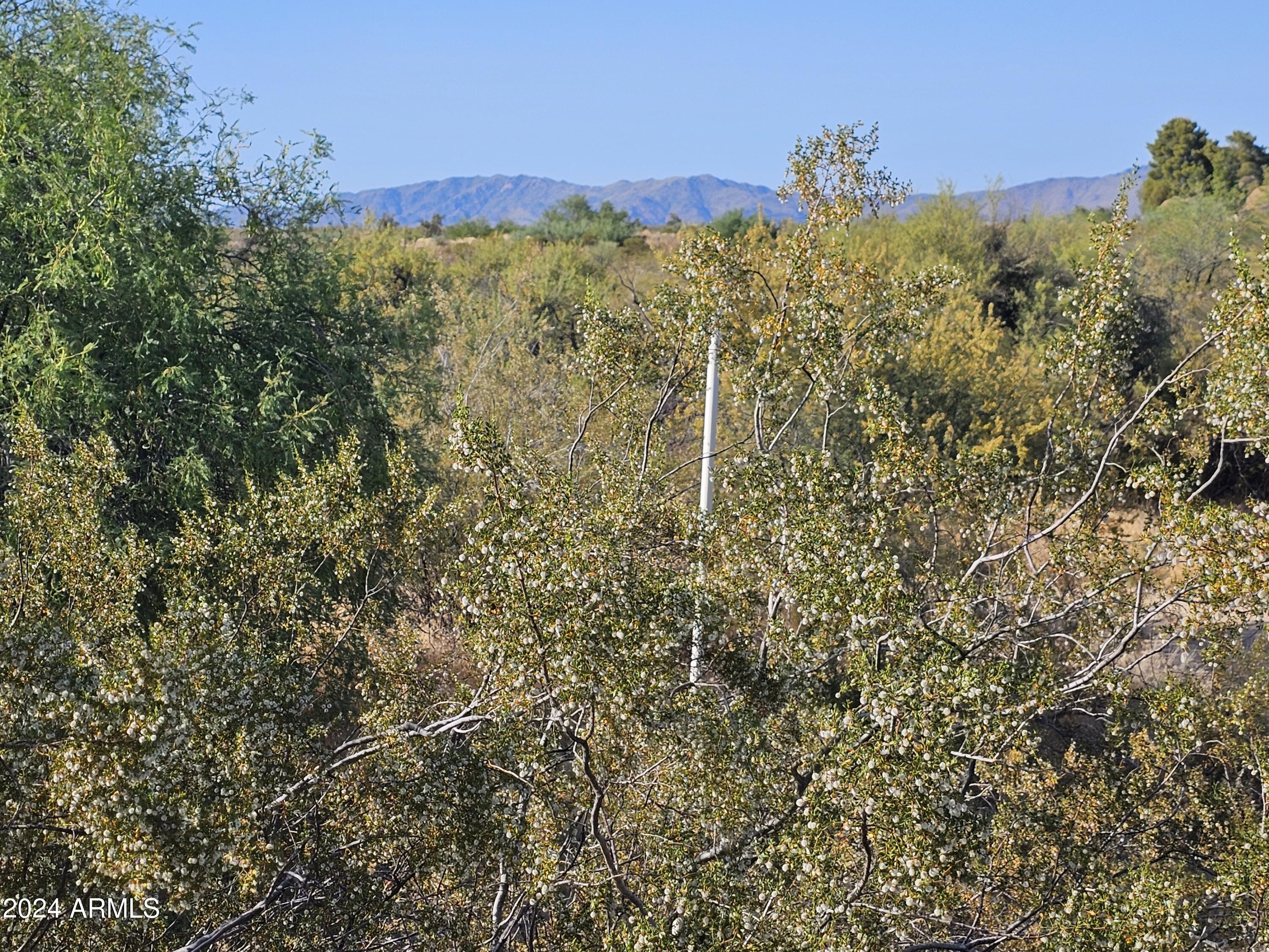 21500 W VISTA ROYALE Drive 21