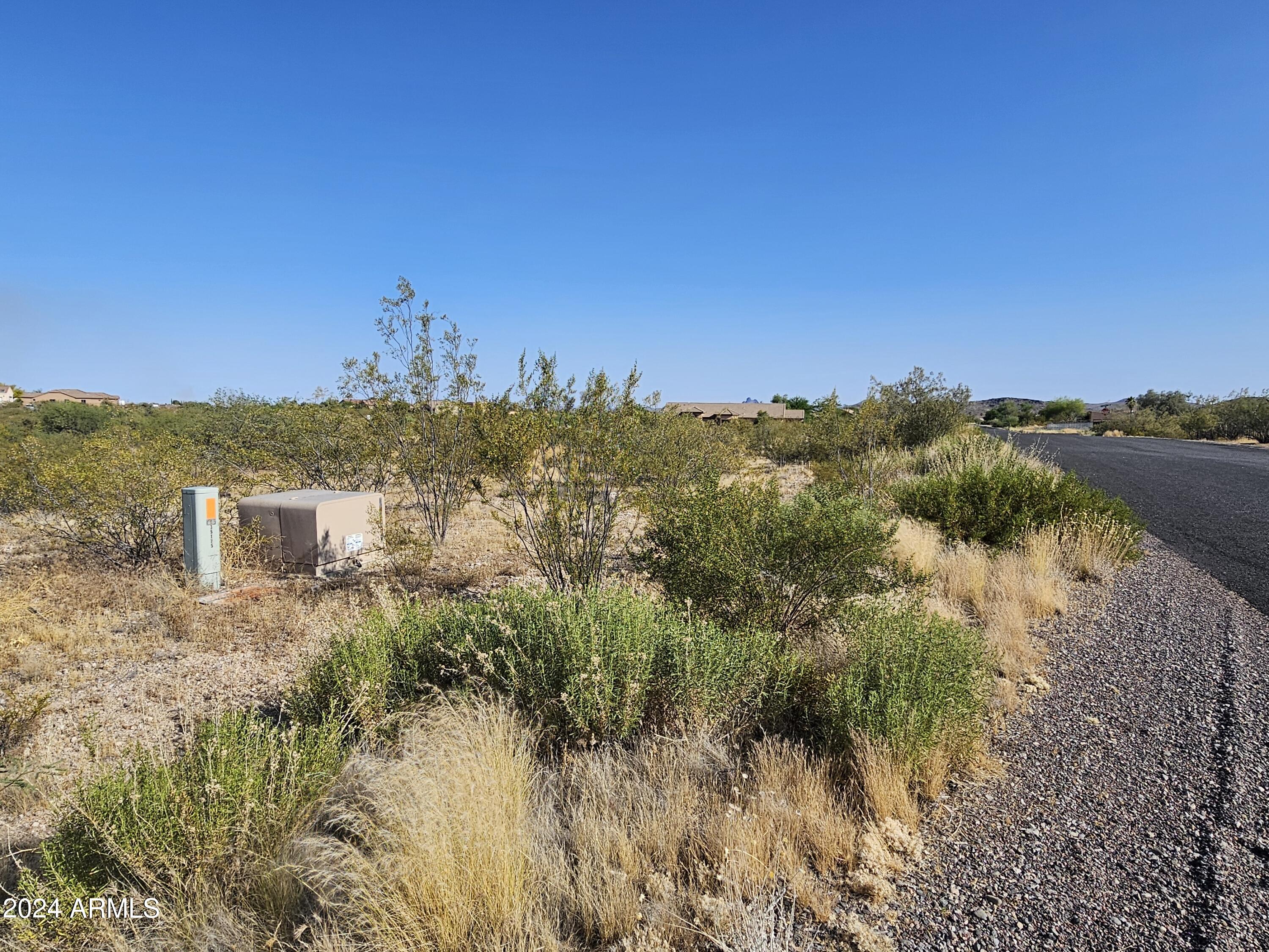 21500 W VISTA ROYALE Drive 21