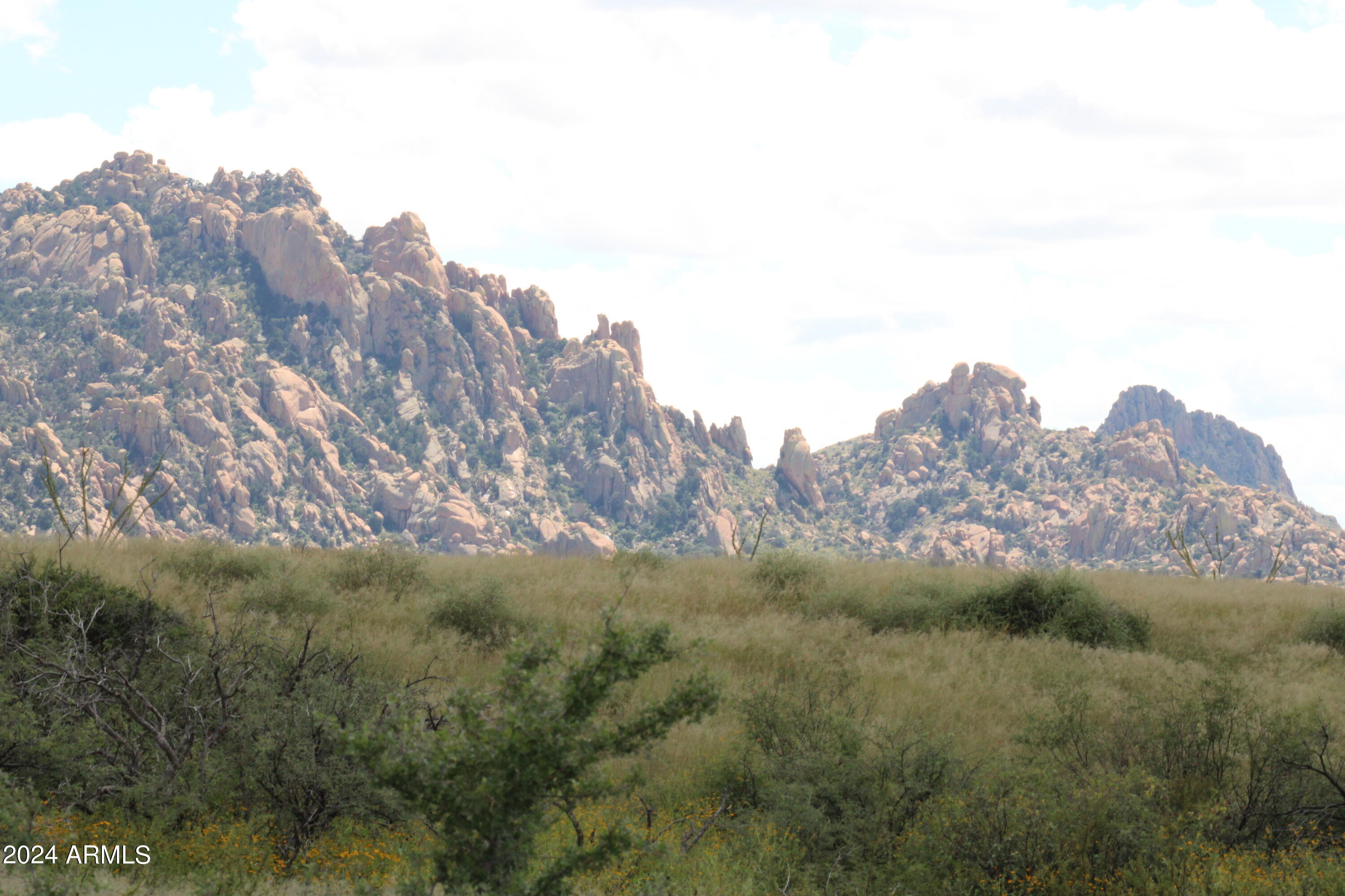 Dragoon Mountain Ranch Unit 2 - Land