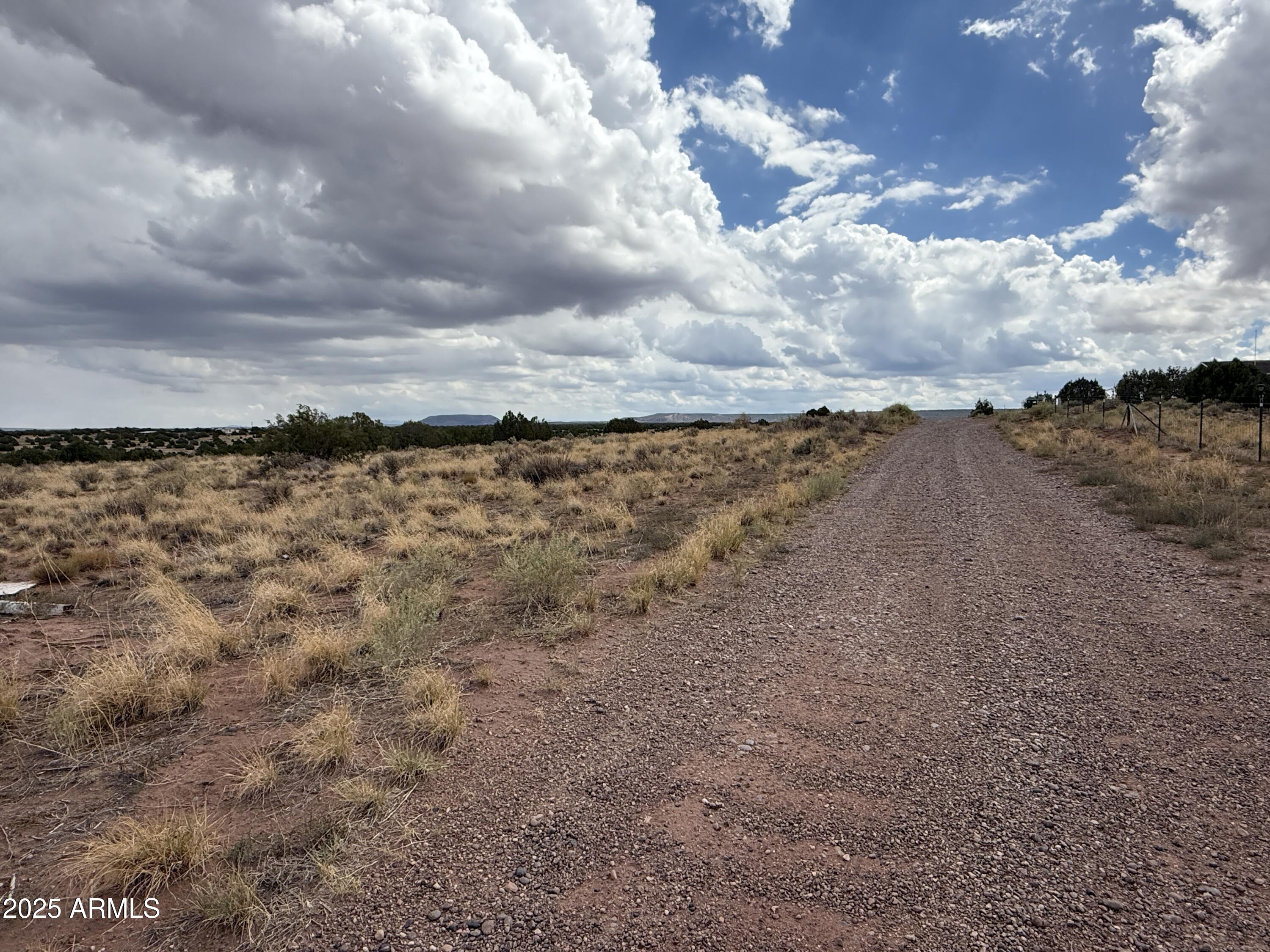 Lot 4 Ranch of the White Mountains -- 4
