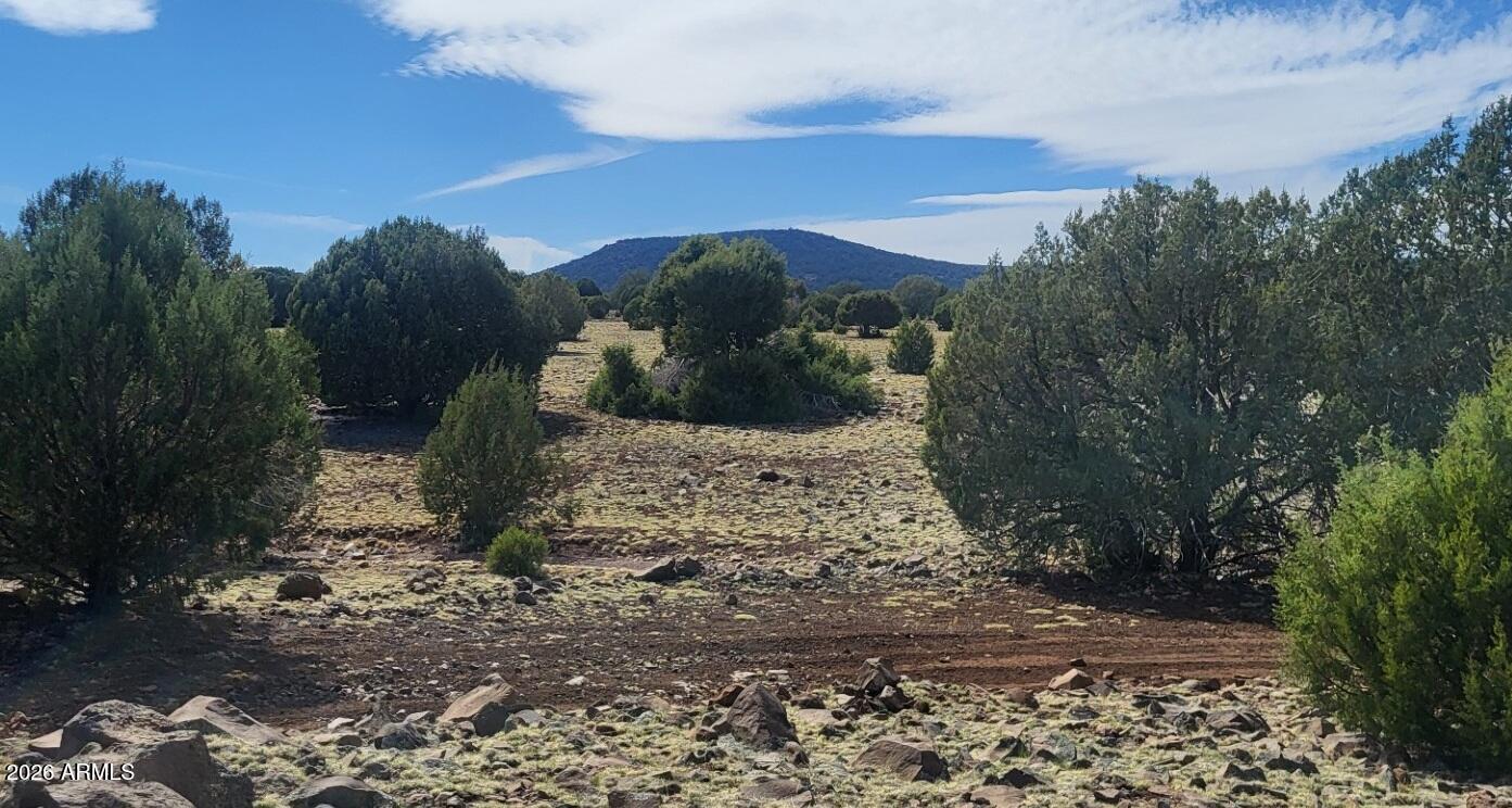 304 Olivas Alone Road 304