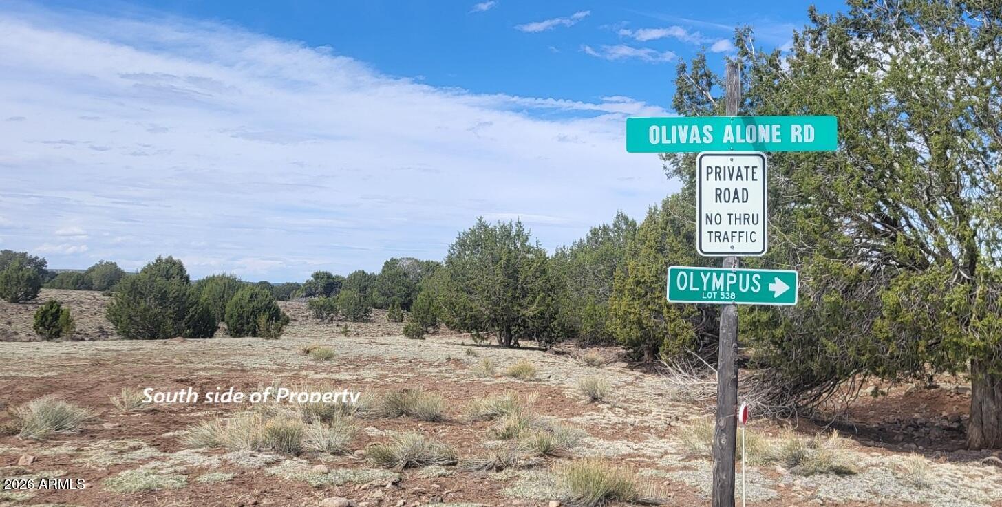 304 Olivas Alone Road 304